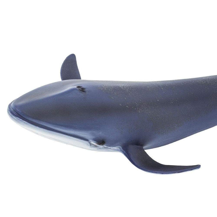 Figura Animales Ballena Azul
