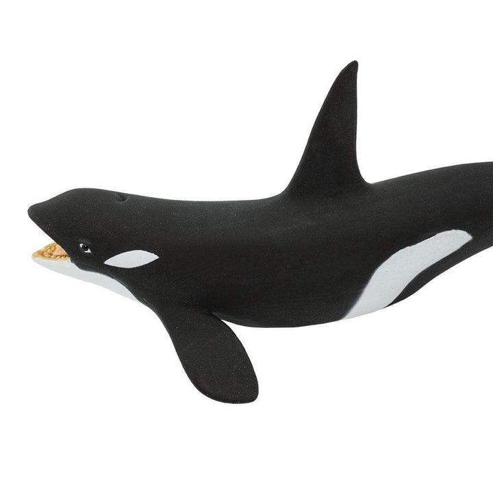 Figura Animales Orca Pintado a Mano