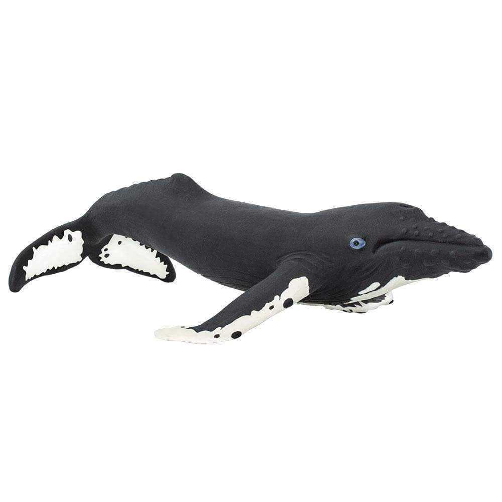 Figura Animales Ballena jorobada Pintado a Mano