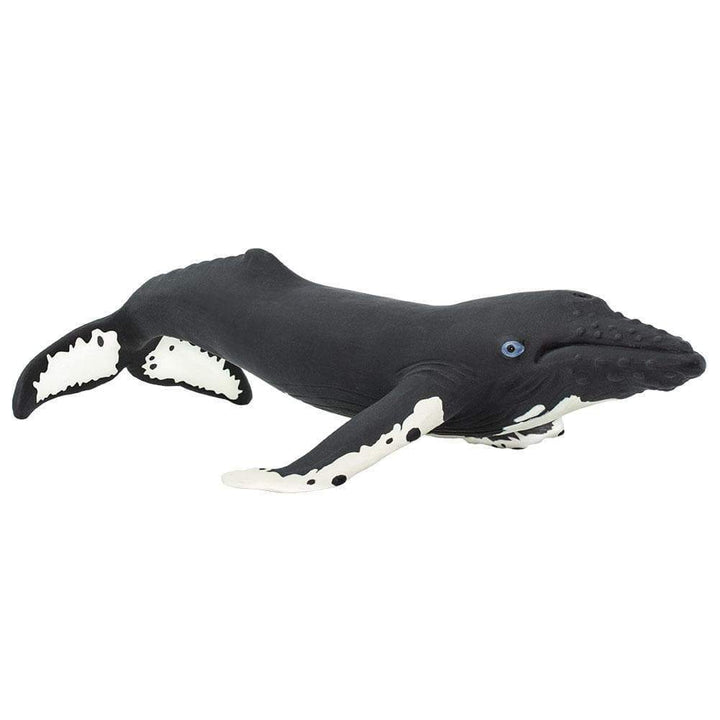 Figura Animales Ballena jorobada Pintado a Mano