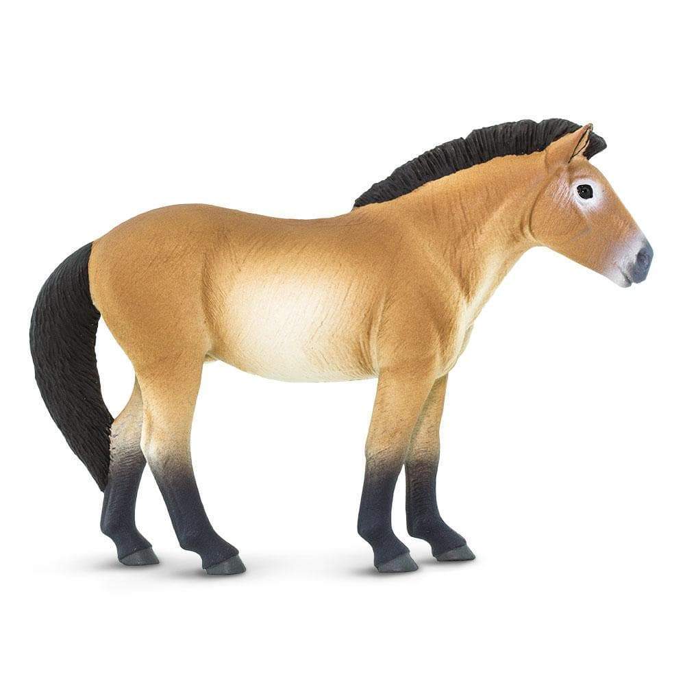 Figura Animales Caballo Przewalski Pintado a Mano
