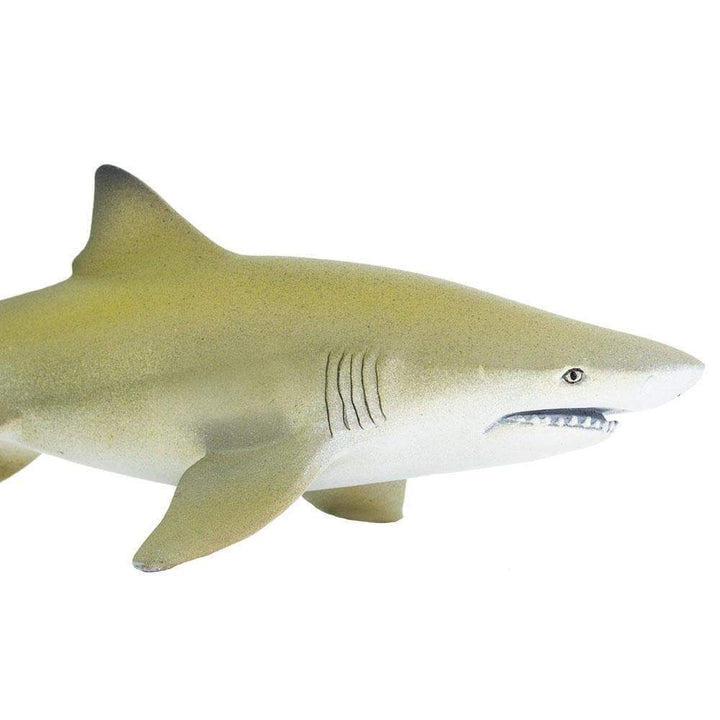 Figura Animales Tiburon Limon Pintado a Mano