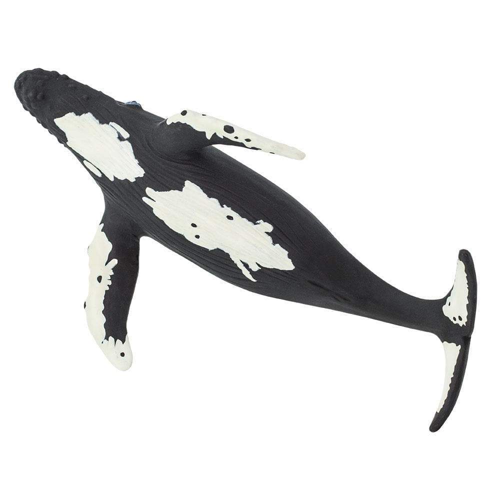 Figura Animales Ballena jorobada Pintado a Mano