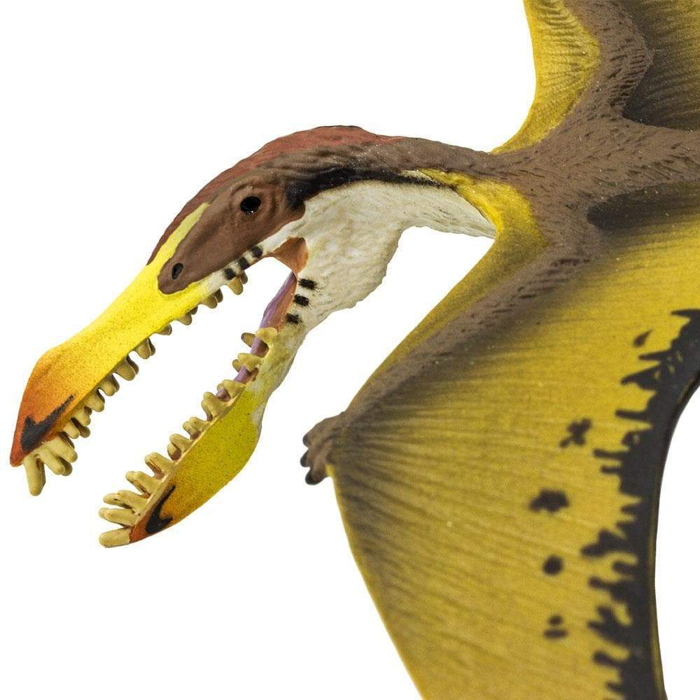 Figura Dinosaurios Pterosaurio Pintado a Mano