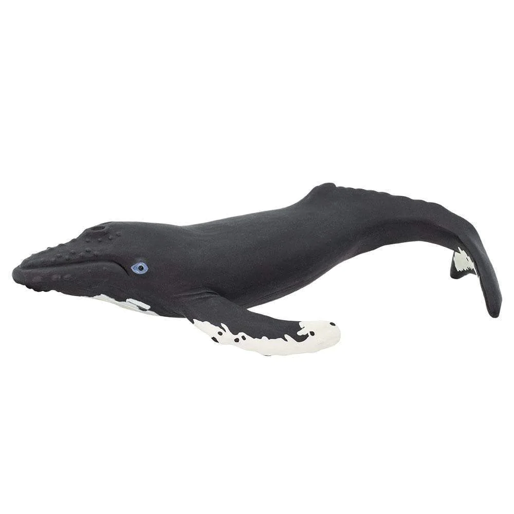 Figura Animales Ballena jorobada Pintado a Mano