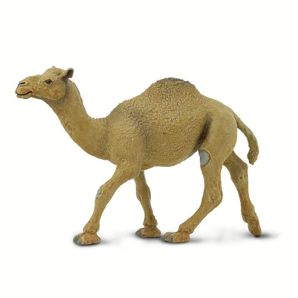 Figura Animales Camello Dromedario Pintado a Mano