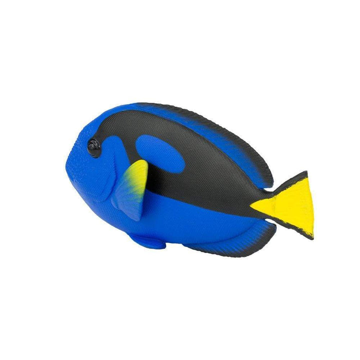 Figura Animales Pez Cirujano Pintado a Mano