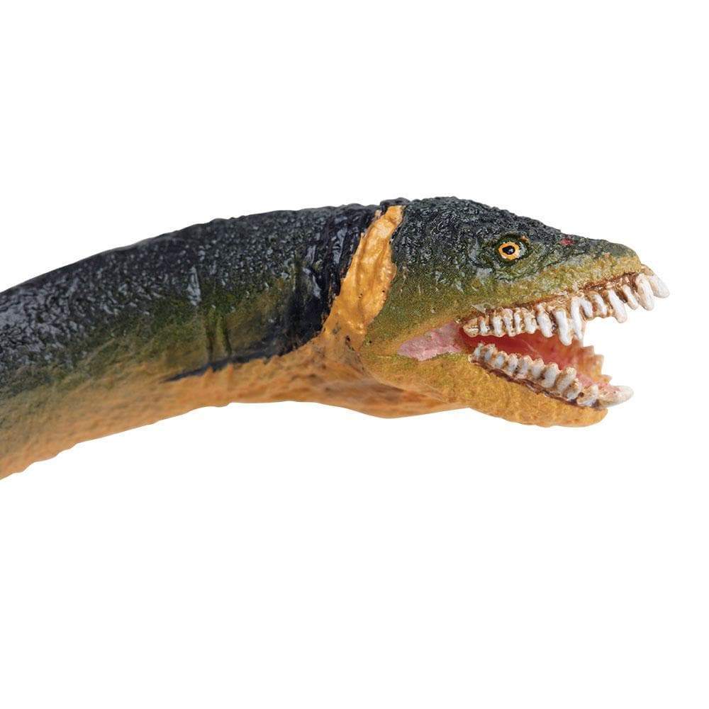 Figura Dinosaurio Elasmosaurus Pintado a Mano