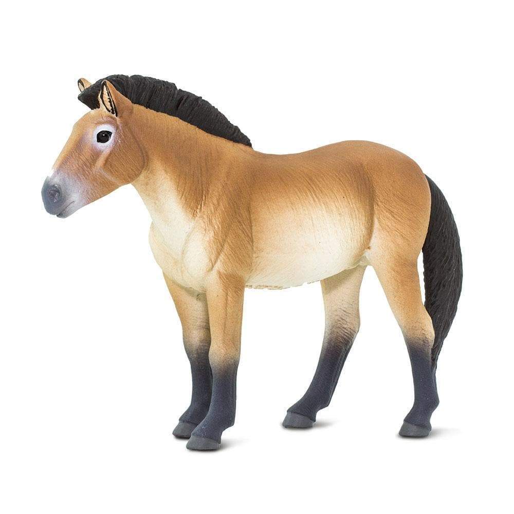 Figura Animales Caballo Przewalski Pintado a Mano