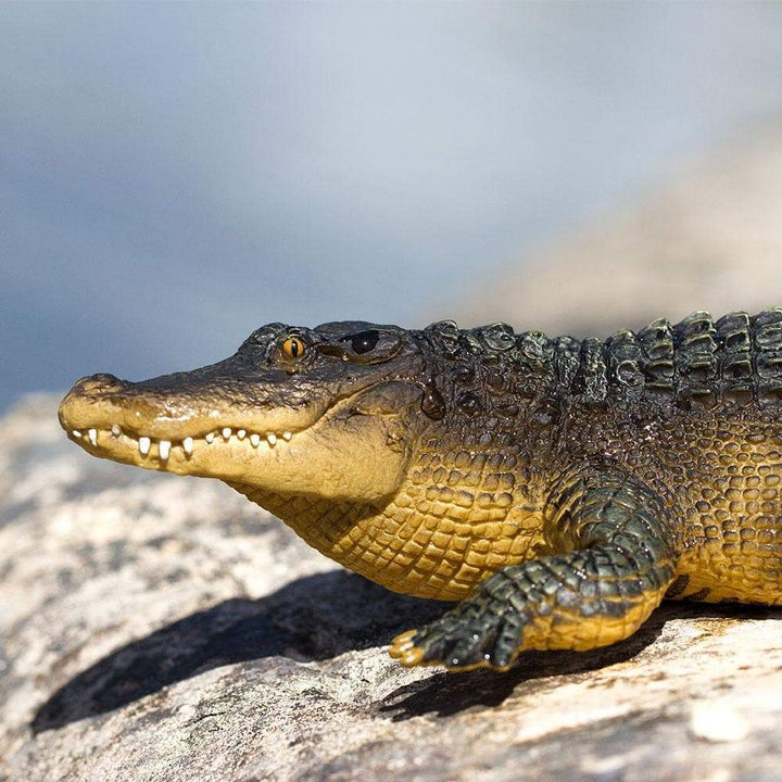 Figura Animales Caiman Pintado a Mano