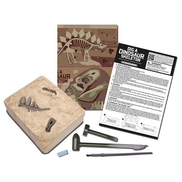 Experimento Arqueología Stegosaurus