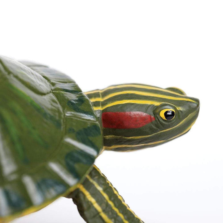 Figura Animales Tortuga Deslizante De Orejas Rojas