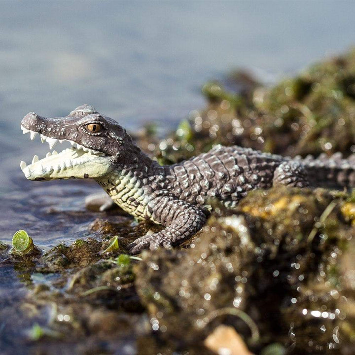 Figura Animales Caiman Pintado a Mano