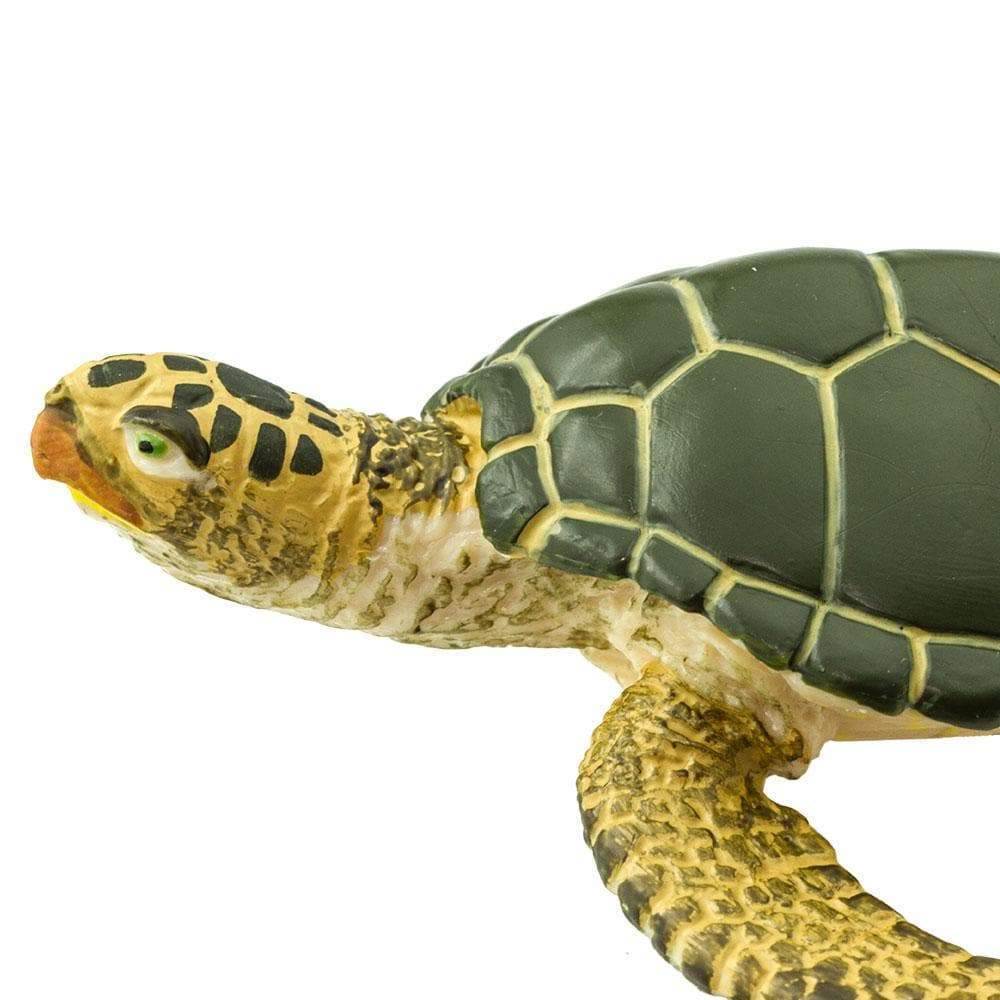 Figura Animales Tortuga Marina Verde Pintado a Mano