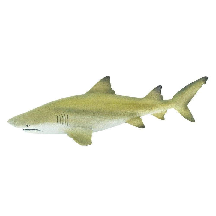 Figura Animales Tiburon Limon Pintado a Mano