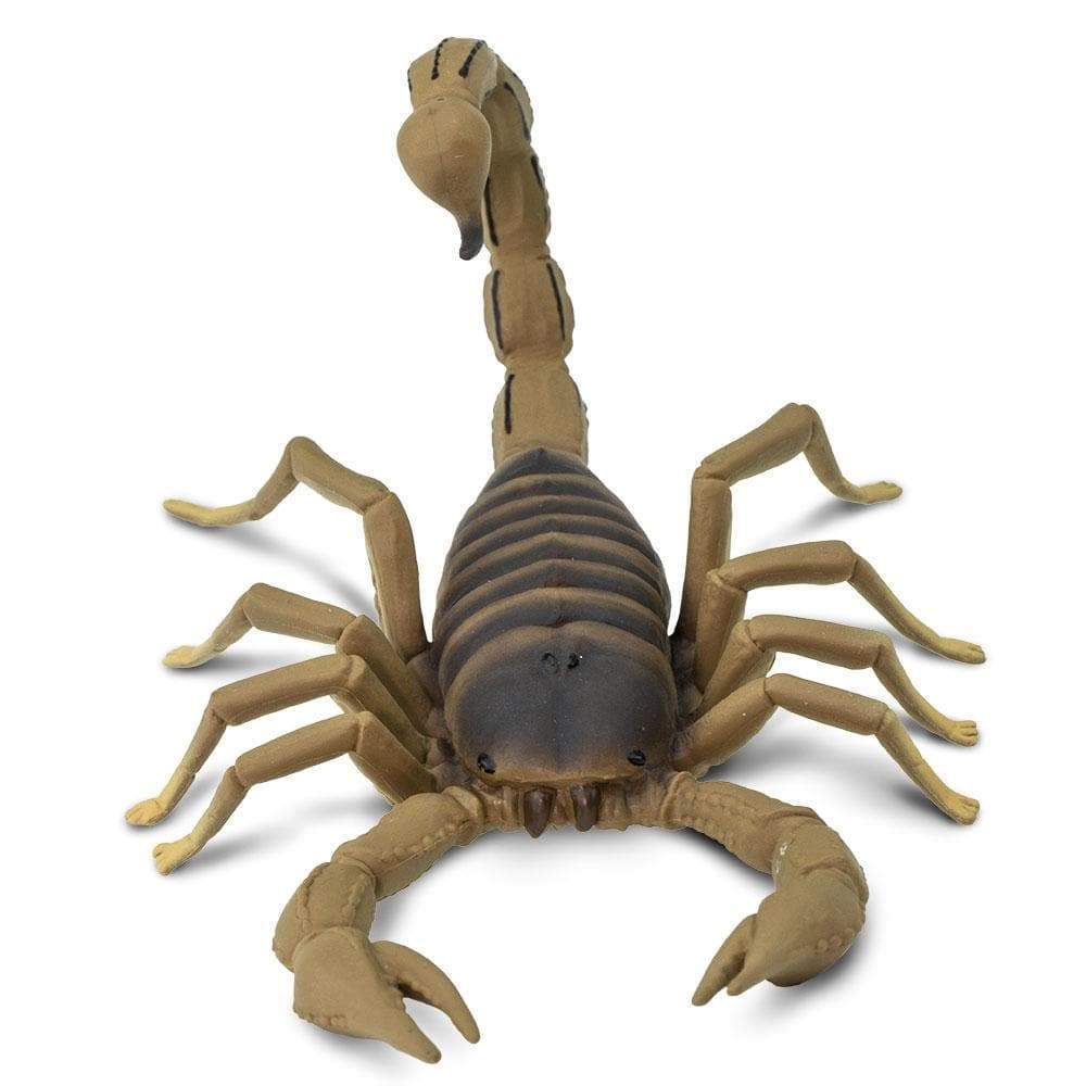 Figura Animales Escorpion Pintado a Mano