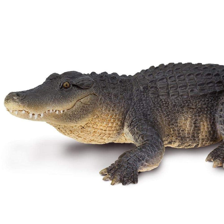 Figura Animales Caiman Pintado a Mano