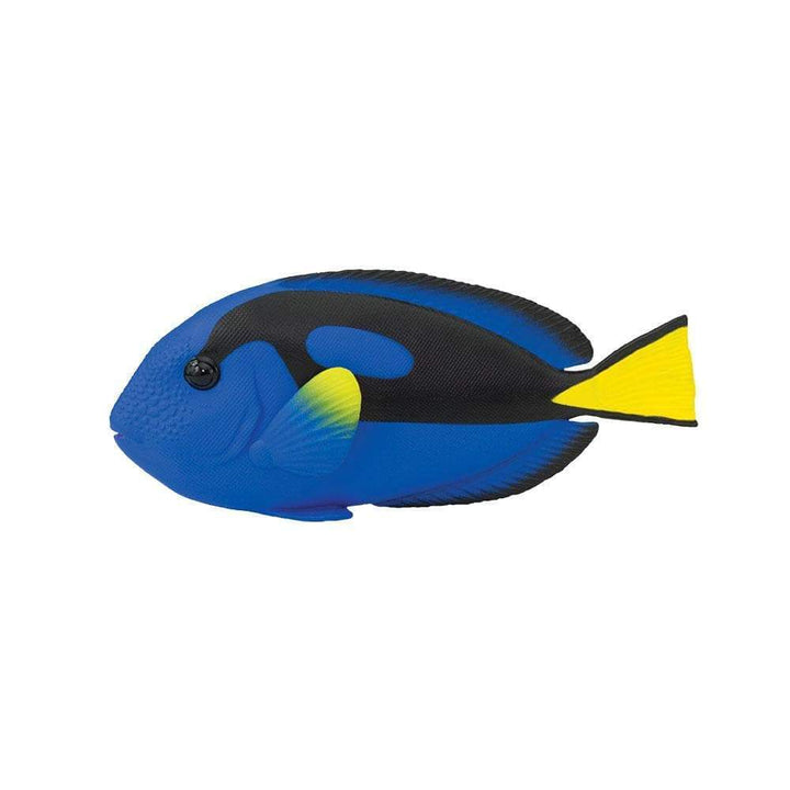 Figura Animales Pez Cirujano Pintado a Mano