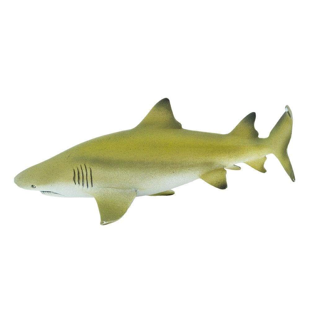 Figura Animales Tiburon Limon Pintado a Mano