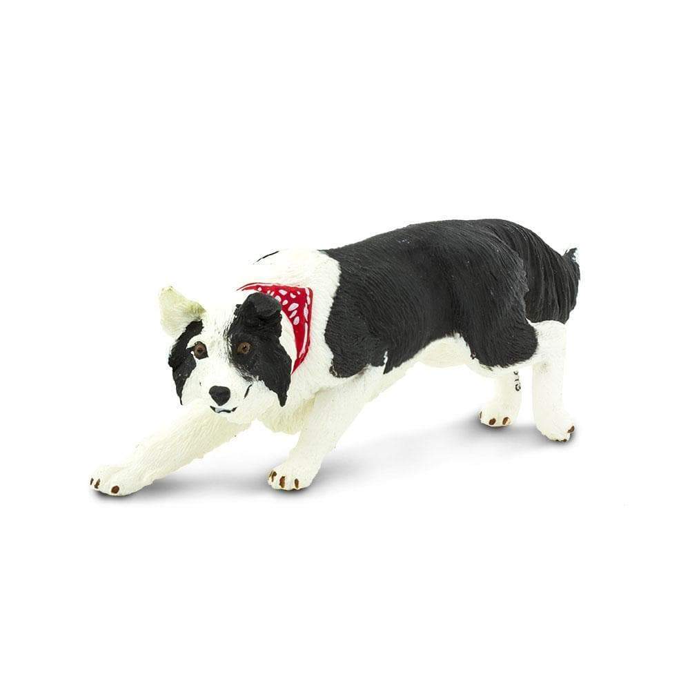 Figura Animales Border Collie Pintado a Mano
