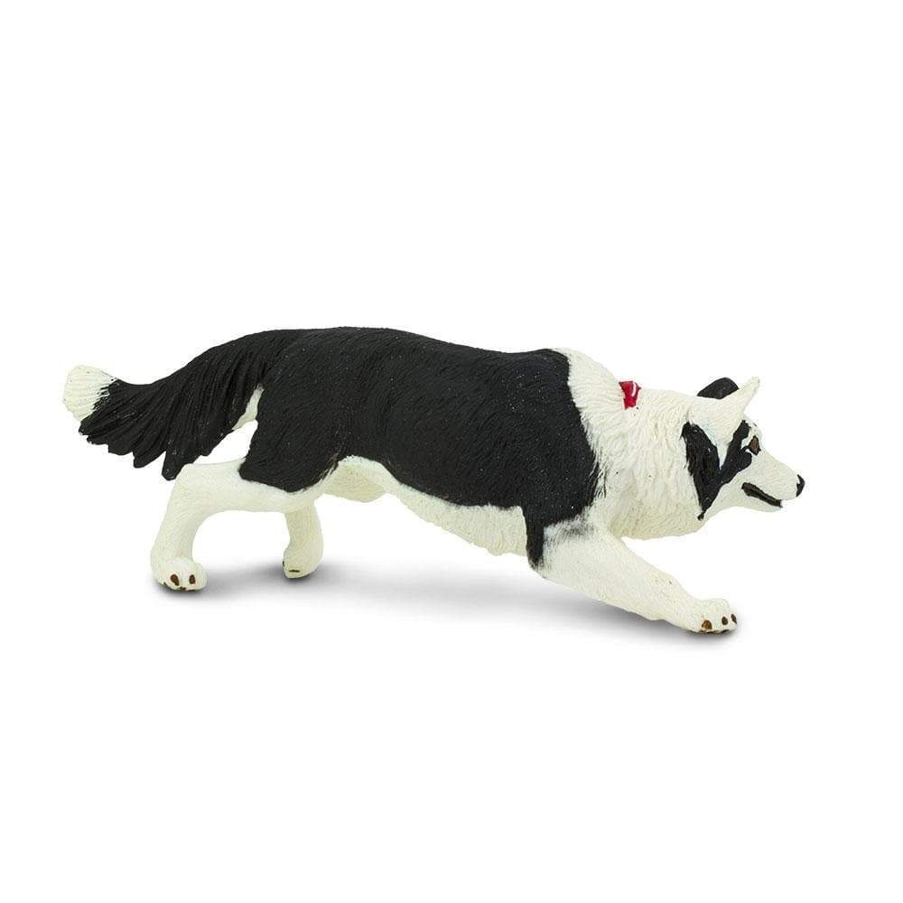 Figura Animales Border Collie Pintado a Mano