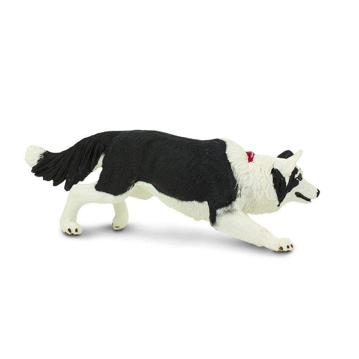 Figura Animales Border Collie Pintado a Mano