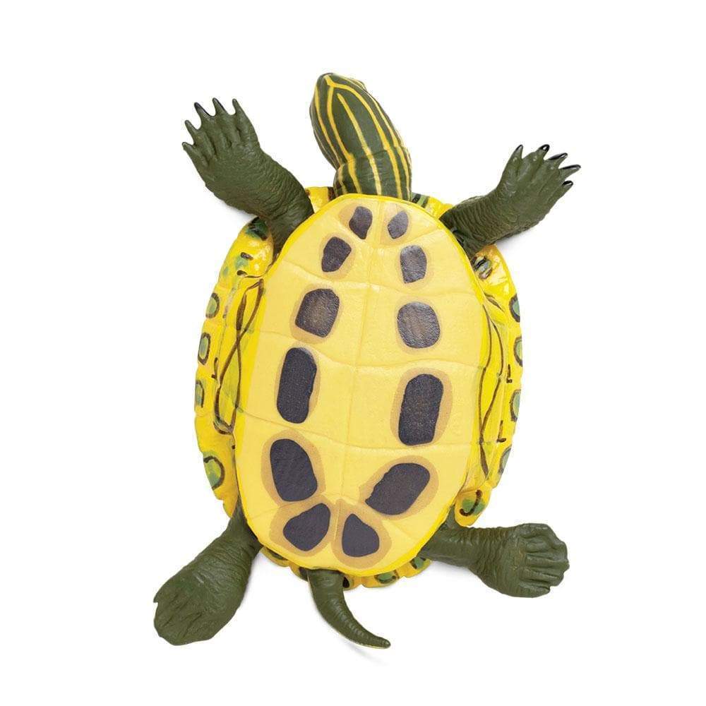 Figura Animales Tortuga Deslizante De Orejas Rojas