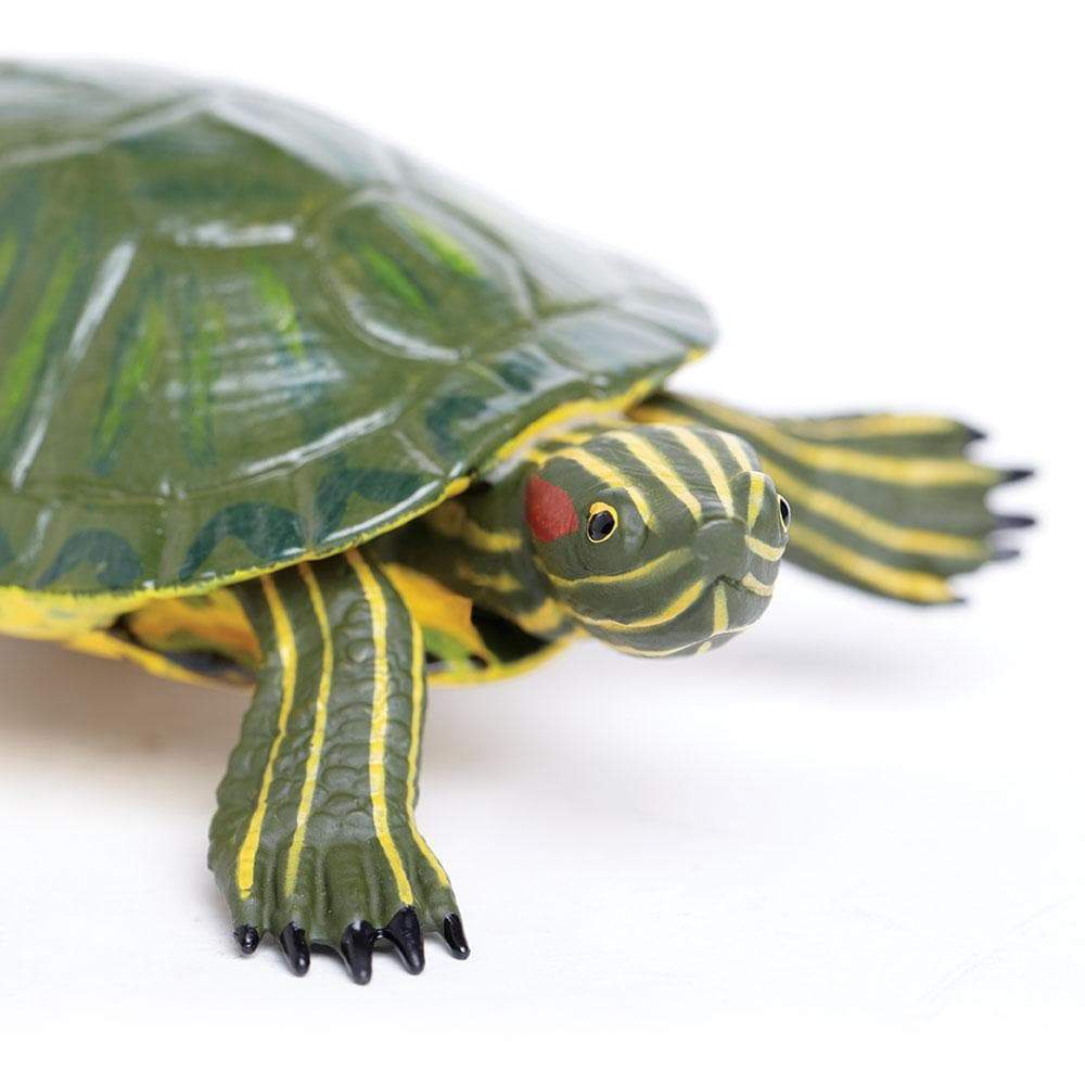 Figura Animales Tortuga Deslizante De Orejas Rojas