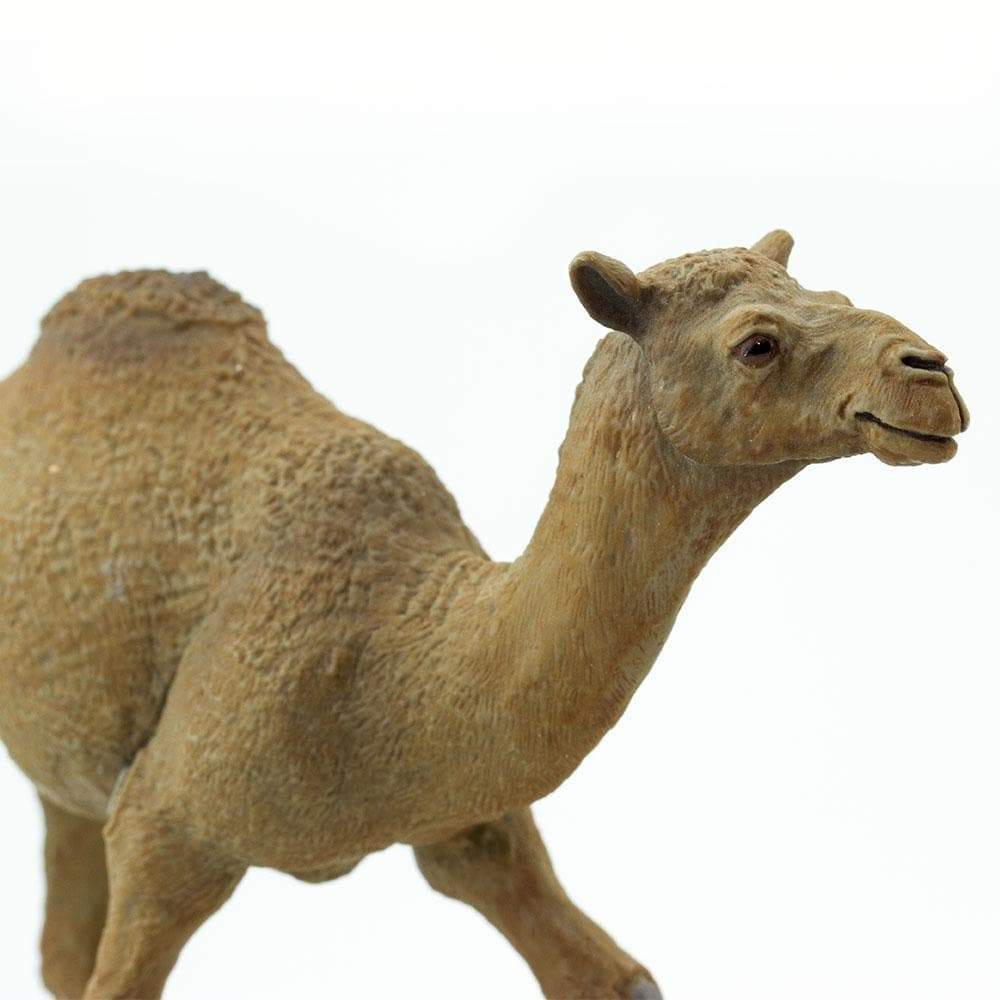 Figura Animales Camello Dromedario Pintado a Mano