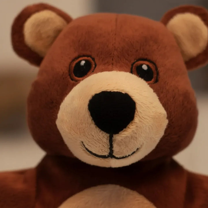 Títere Didáctico De Peluche Oso Para Niños