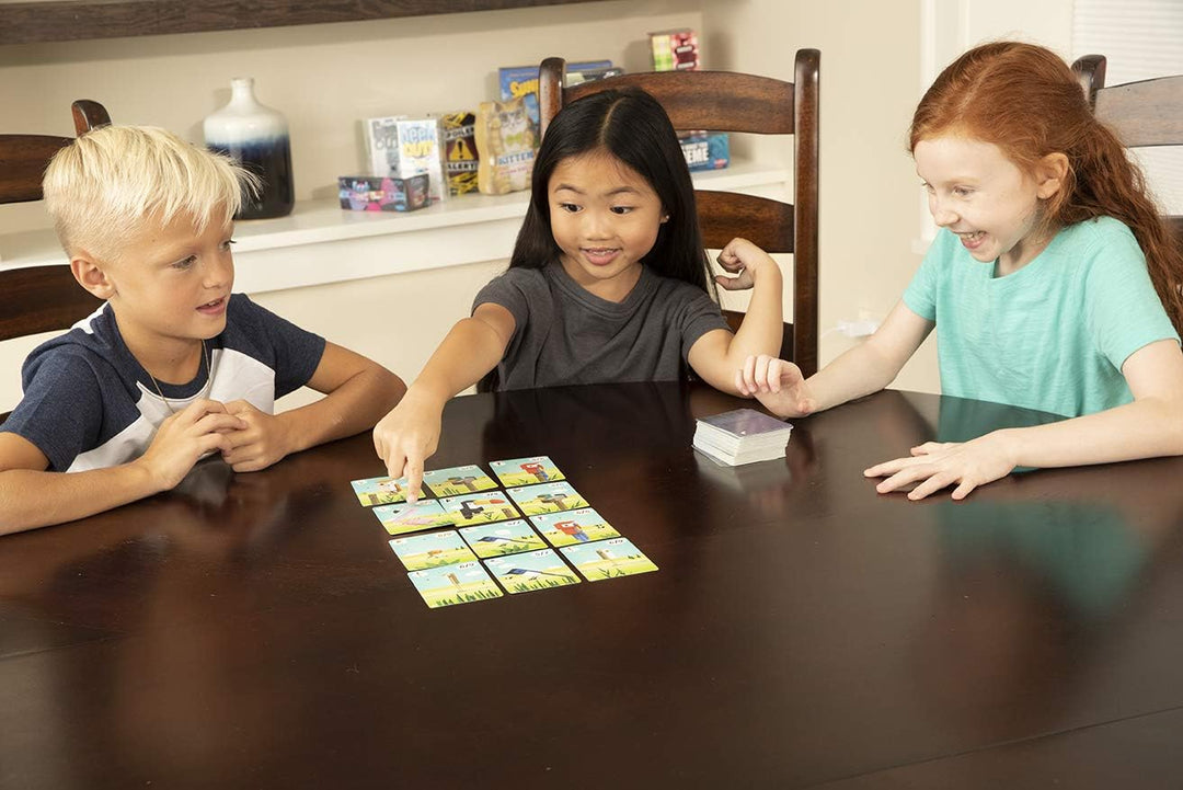 Juego de Mesa CuBirds Estrategia Para Niños Adultos
