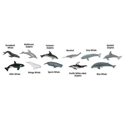 Set Animales Ballenas y Delfines
