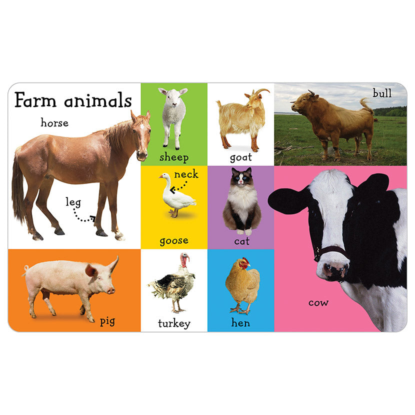Libro Infantil First 100 Farm Words