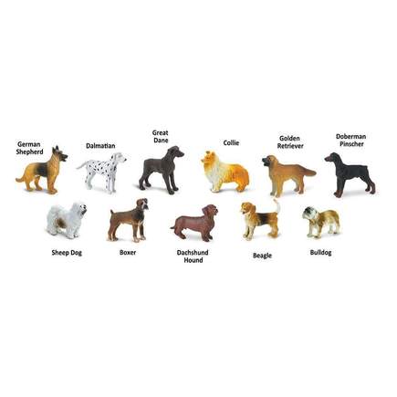 Set animales Perros