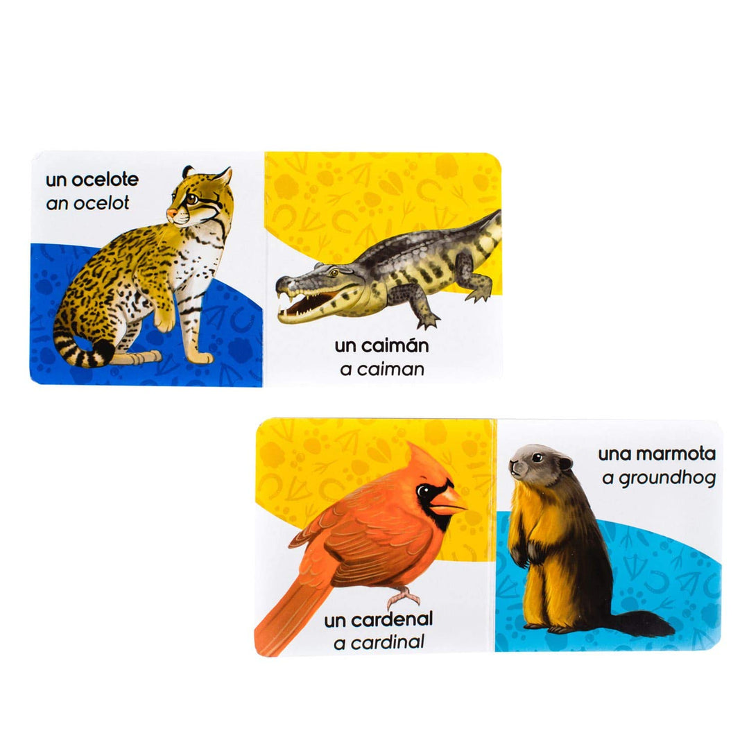 Mi Gran Mini Biblioteca De Animales