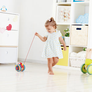 Juego de Arrastre Pajarito En Madera