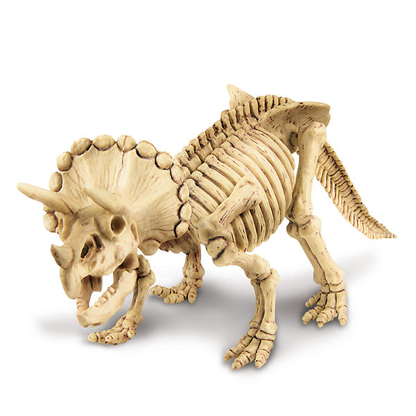 Experimento Arqueología Triceratops
