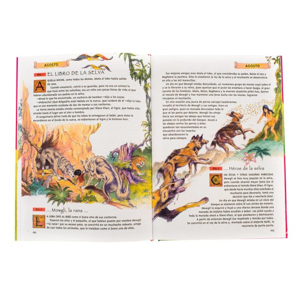 Libro Infantil Un Cuento Para Cada Día