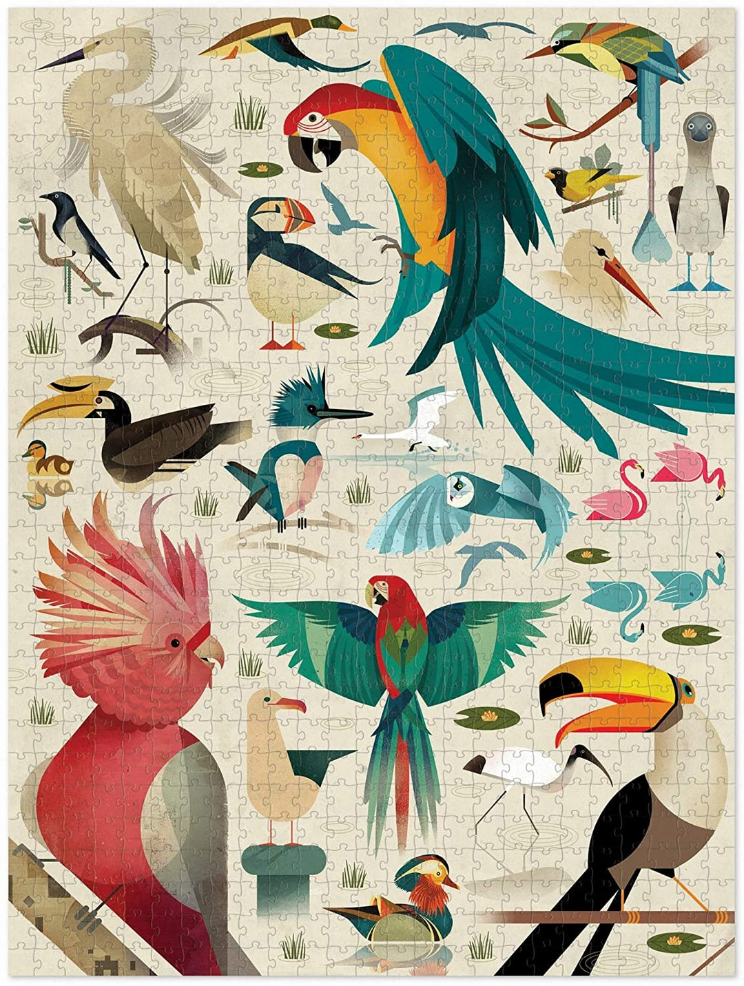 Rompecabezas 750 Piezas Mundo de las Aves