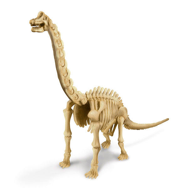 Experimento Arqueología Brachiosaurus