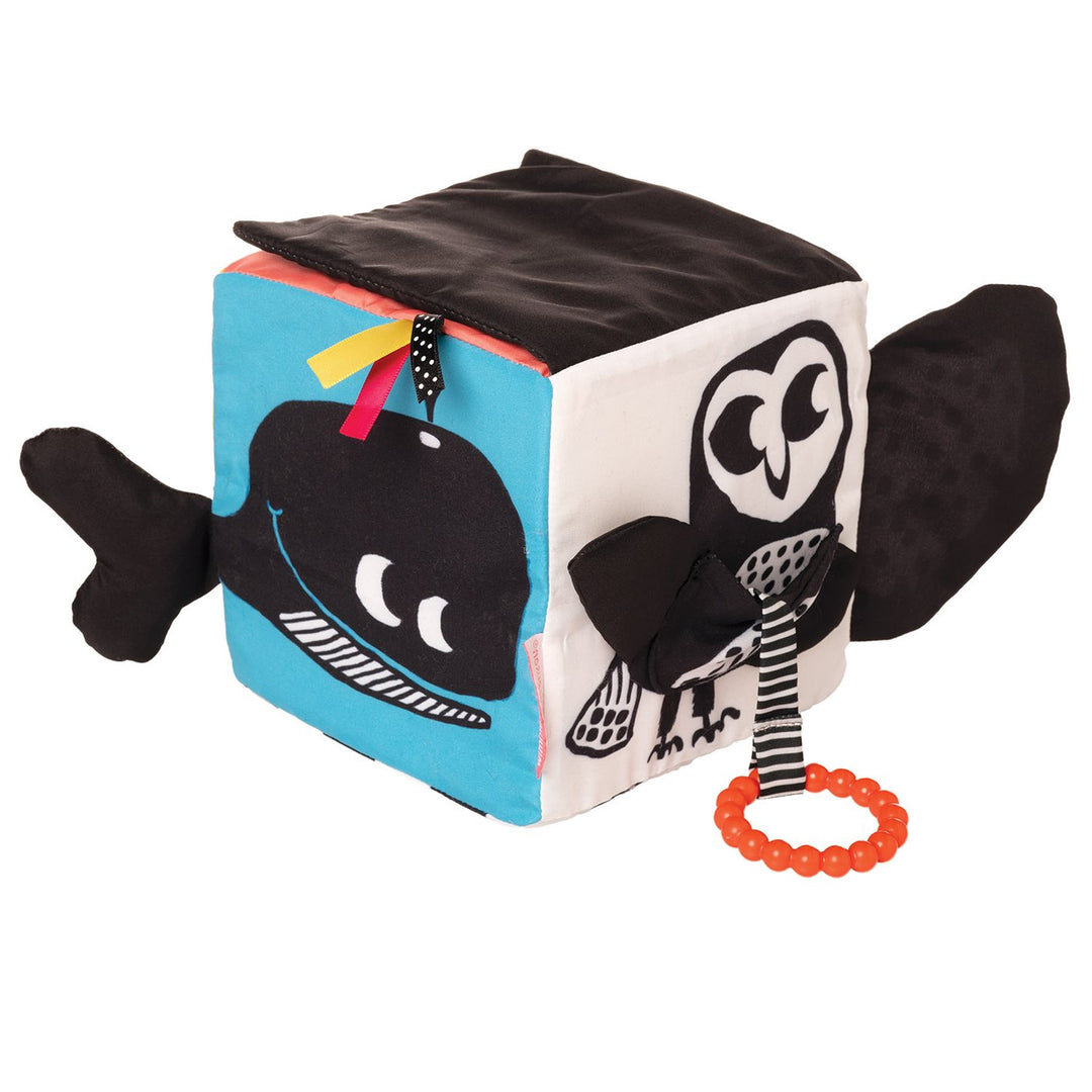 Cubo de actividades