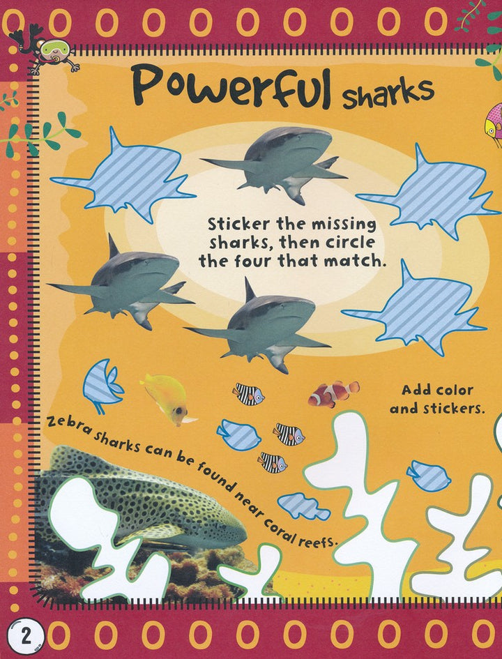 Libro De Actividades Tiburones