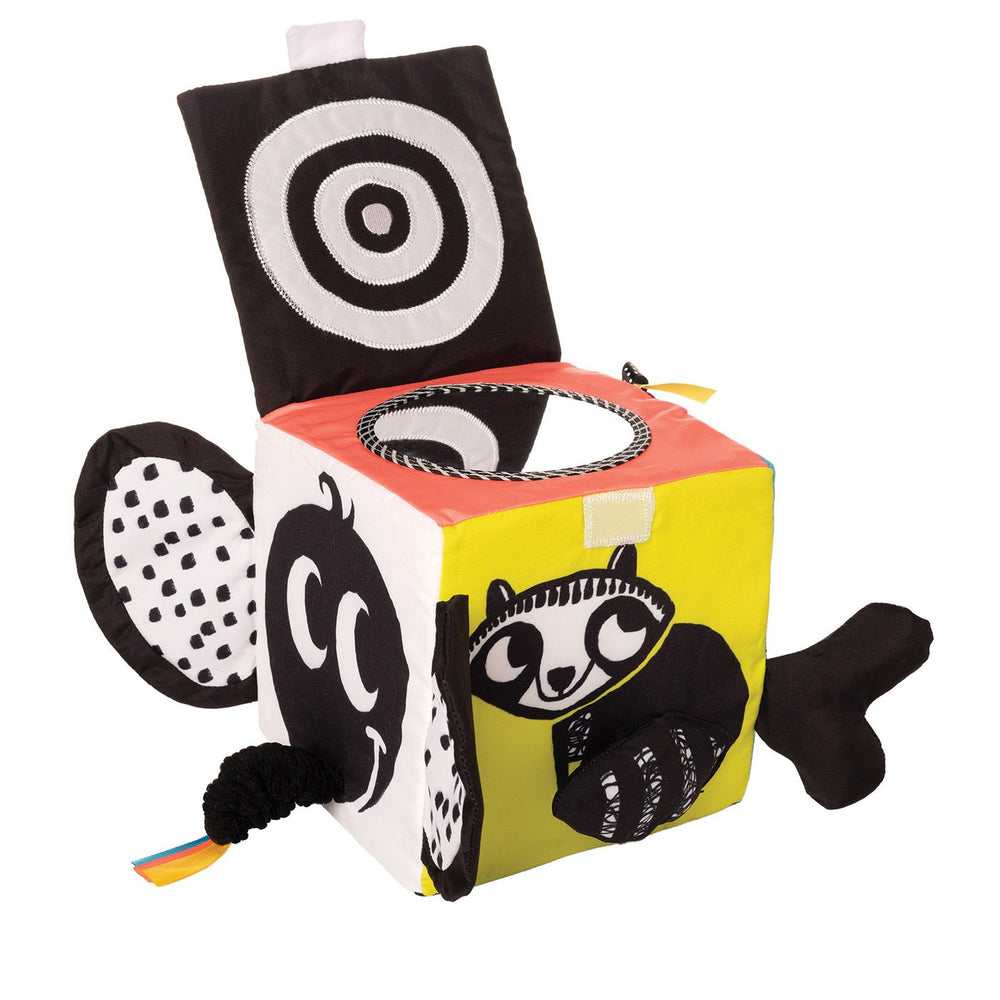 Cubo de actividades