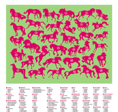 Rompecabezas 100 Piezas Caballos