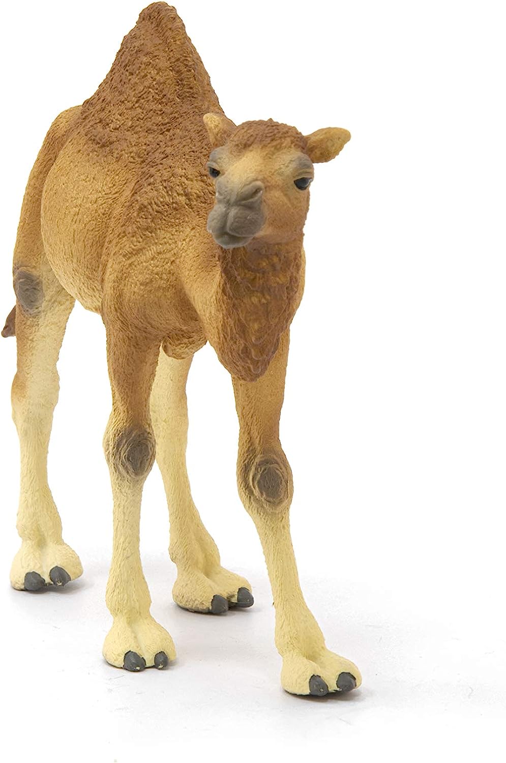 Figura Animales Dromedario Pintado A Mano