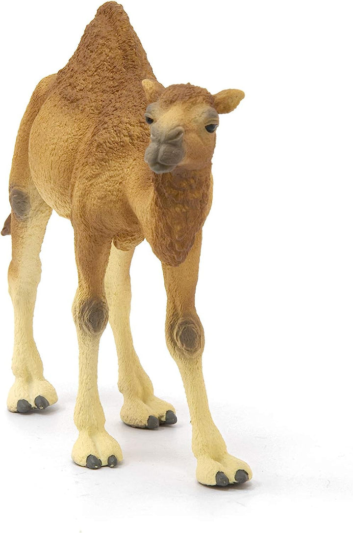 Figura Animales Dromedario Pintado A Mano