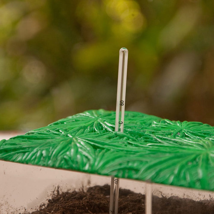 Set De Experimentos Proceso del Compostaje Para Niños