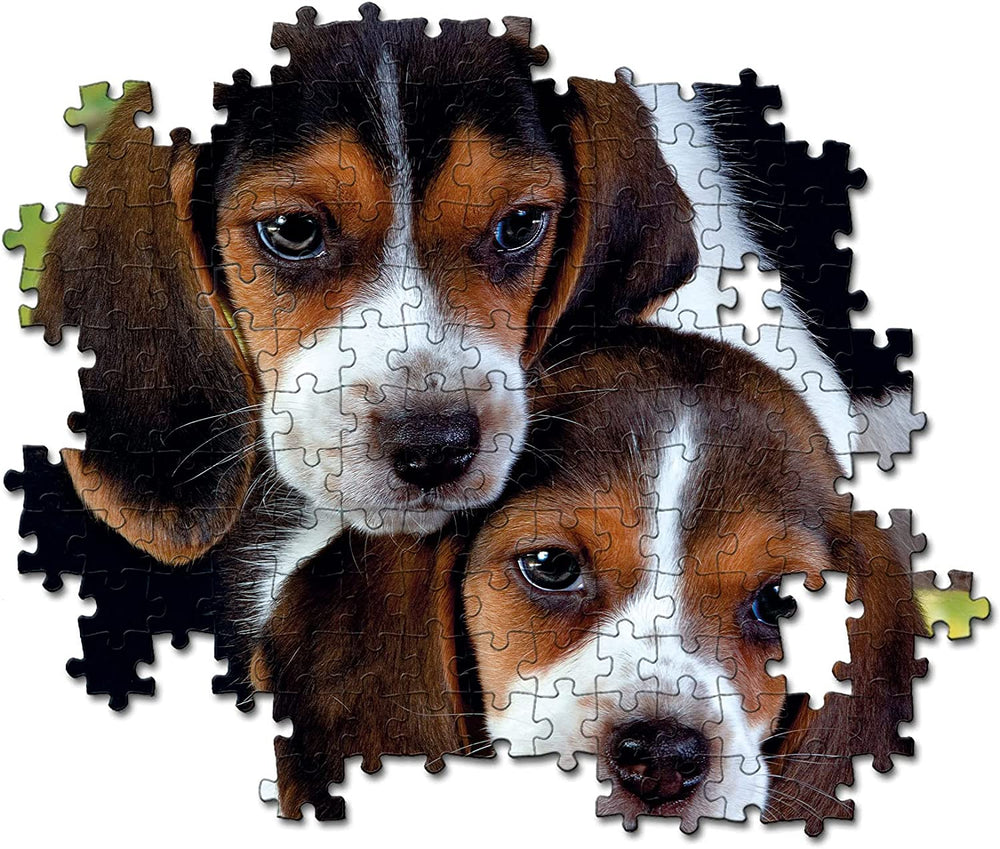 Rompecabezas 500 Piezas Perro Beagle