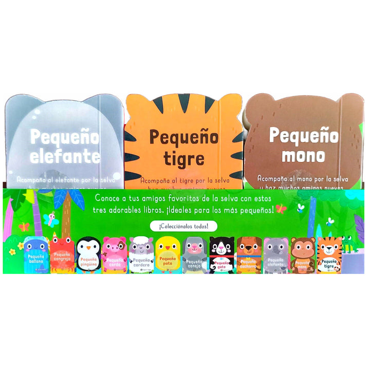 Set De Libros En La Selva Familia De Animales