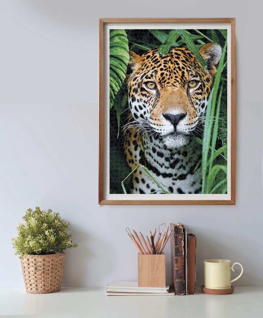 Rompecabezas 500 Piezas Jaguar En La Jungla